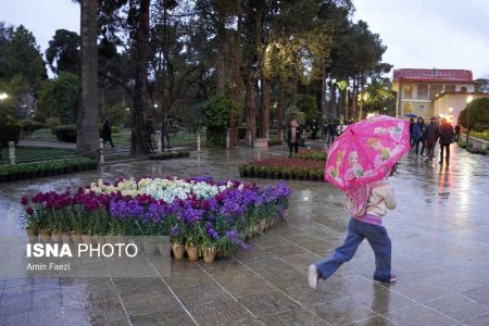 بارش باران در بیشتر استان ها