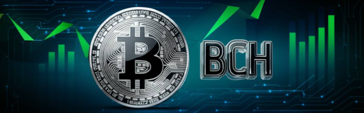 قیمت لحظه ای بیت کوین کش (BCH) | مشاهده زنده و نمودار