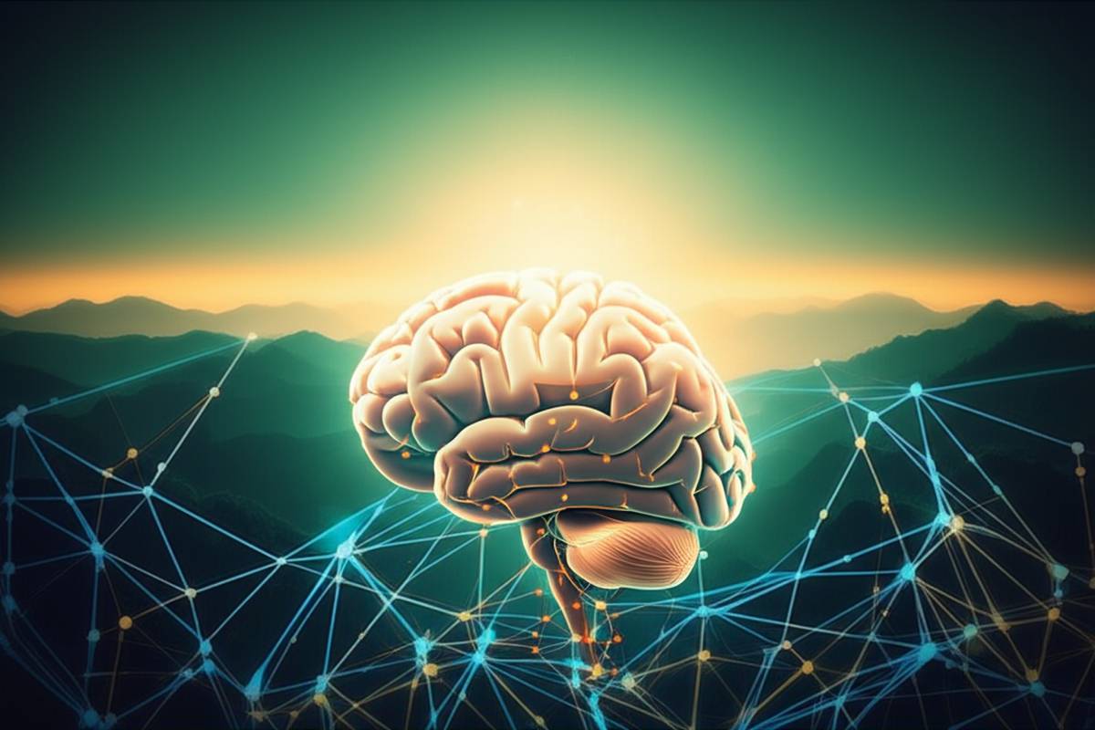 خلاصه کتاب مغز بودا - عصب شناسی کاربردی شادی، عشق و خرد